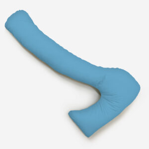 Blue Question Mark Pillow