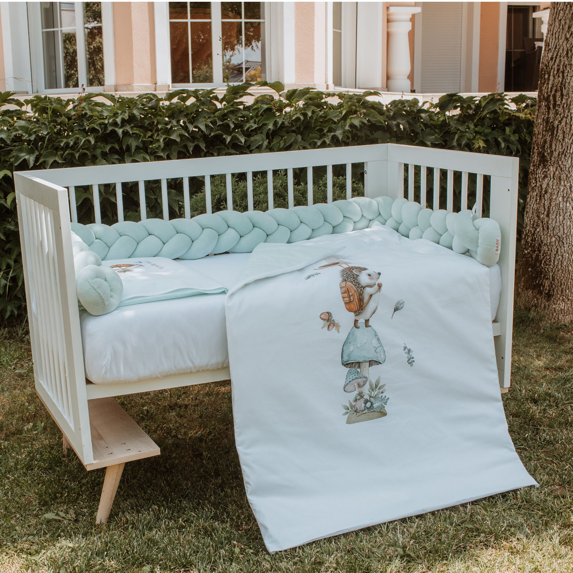Baby Hedgehog Set