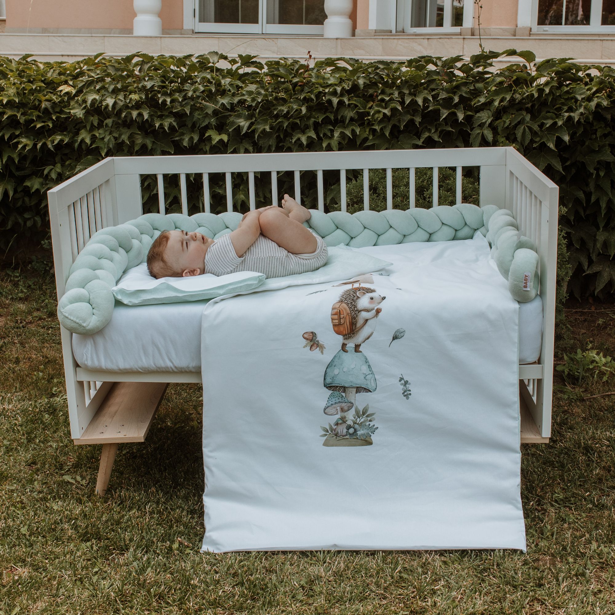 Baby Hedgehog Set