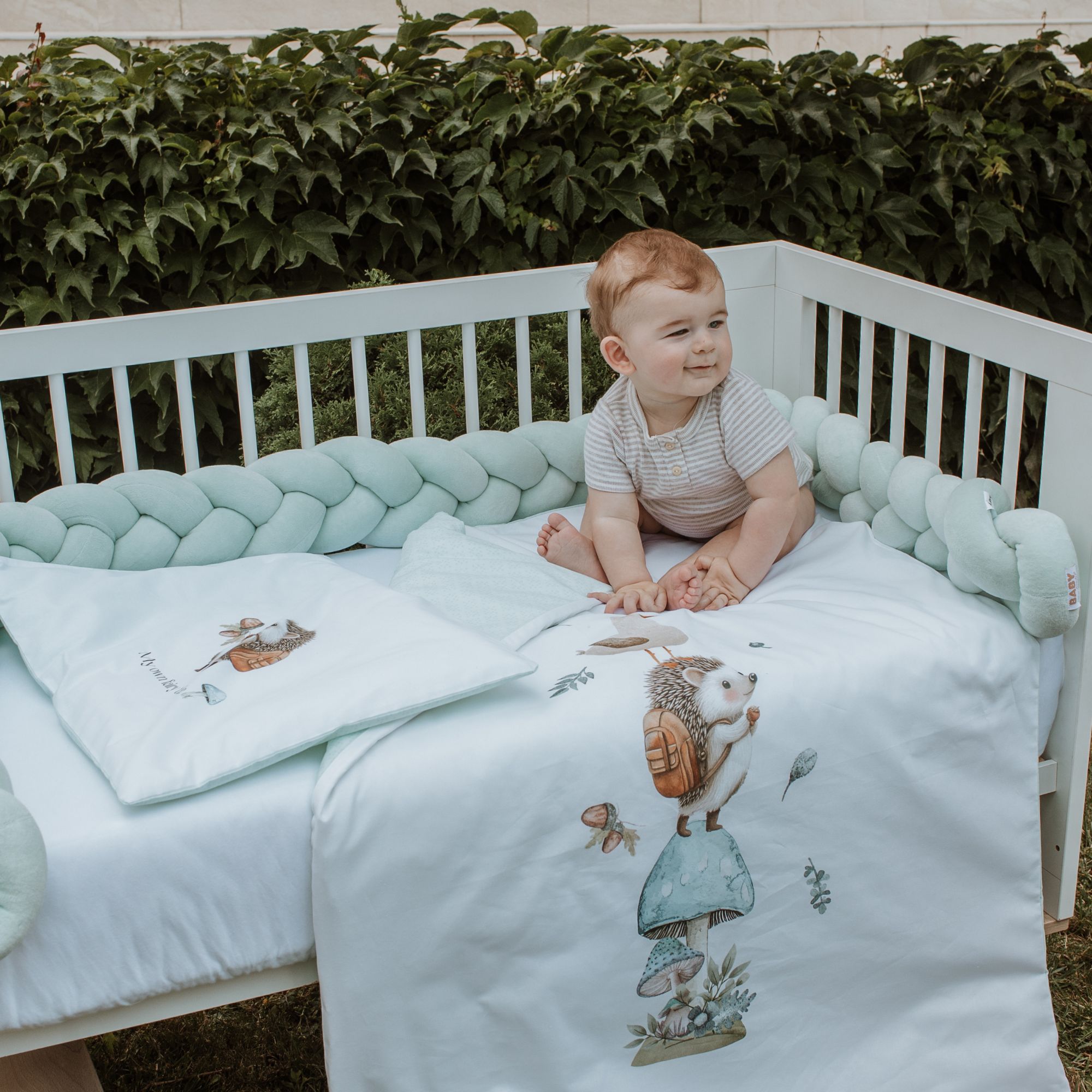 Baby Hedgehog Set