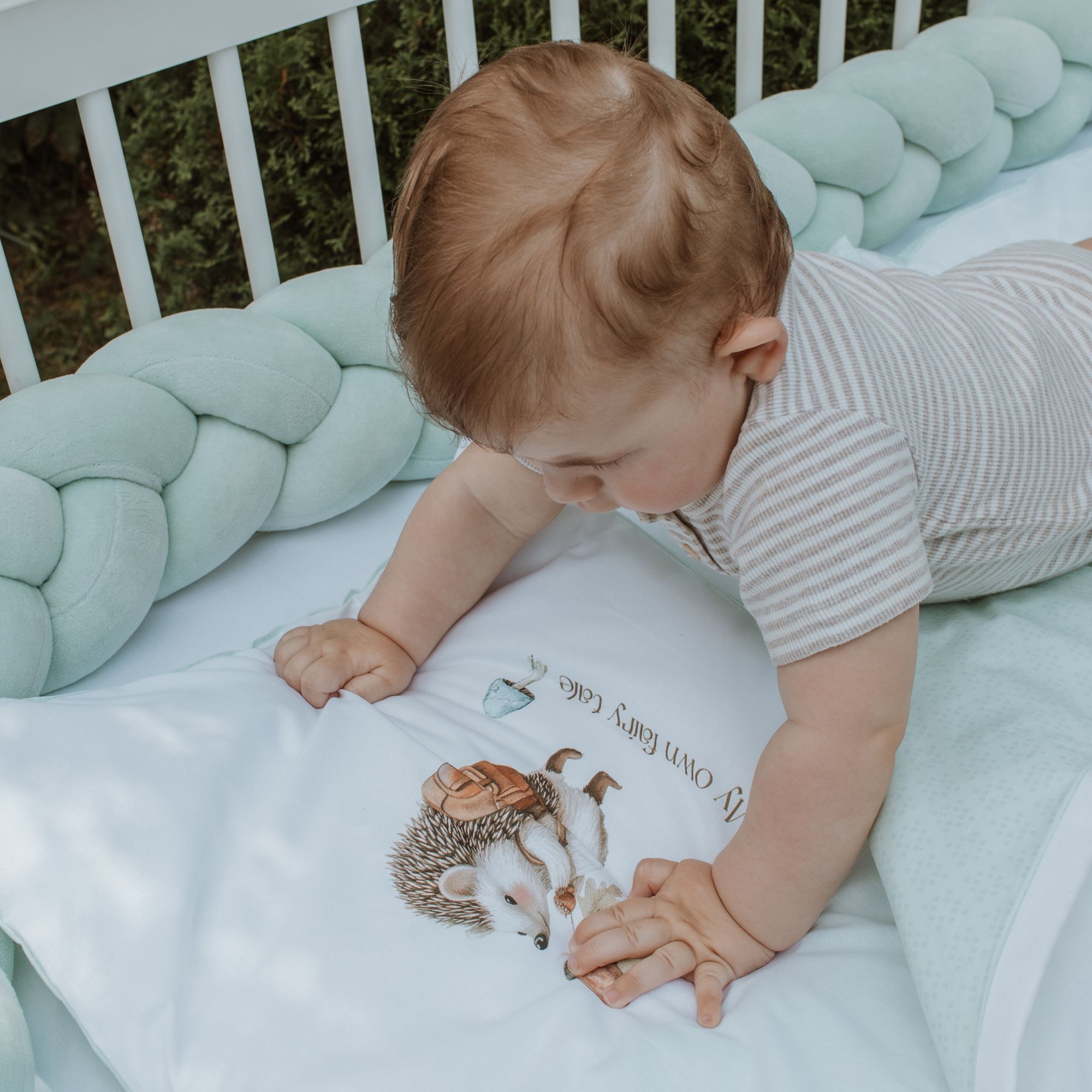 Baby Hedgehog Set