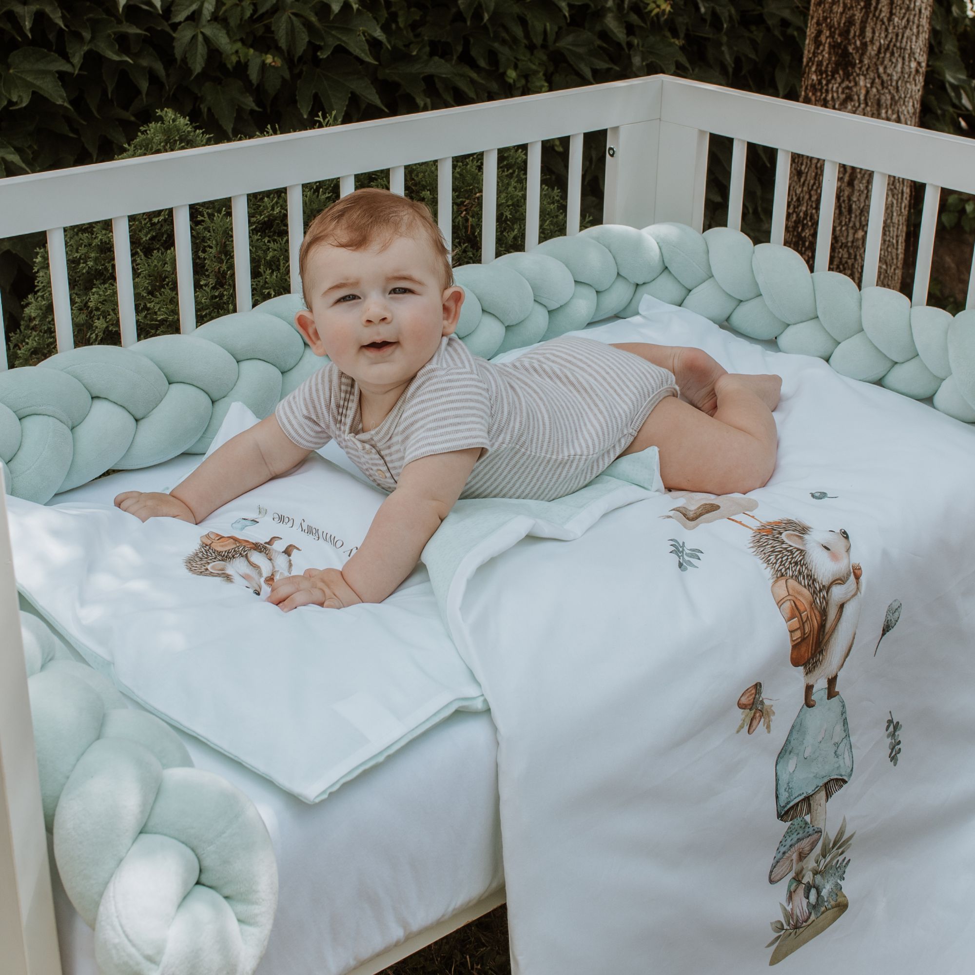 Baby Hedgehog Set