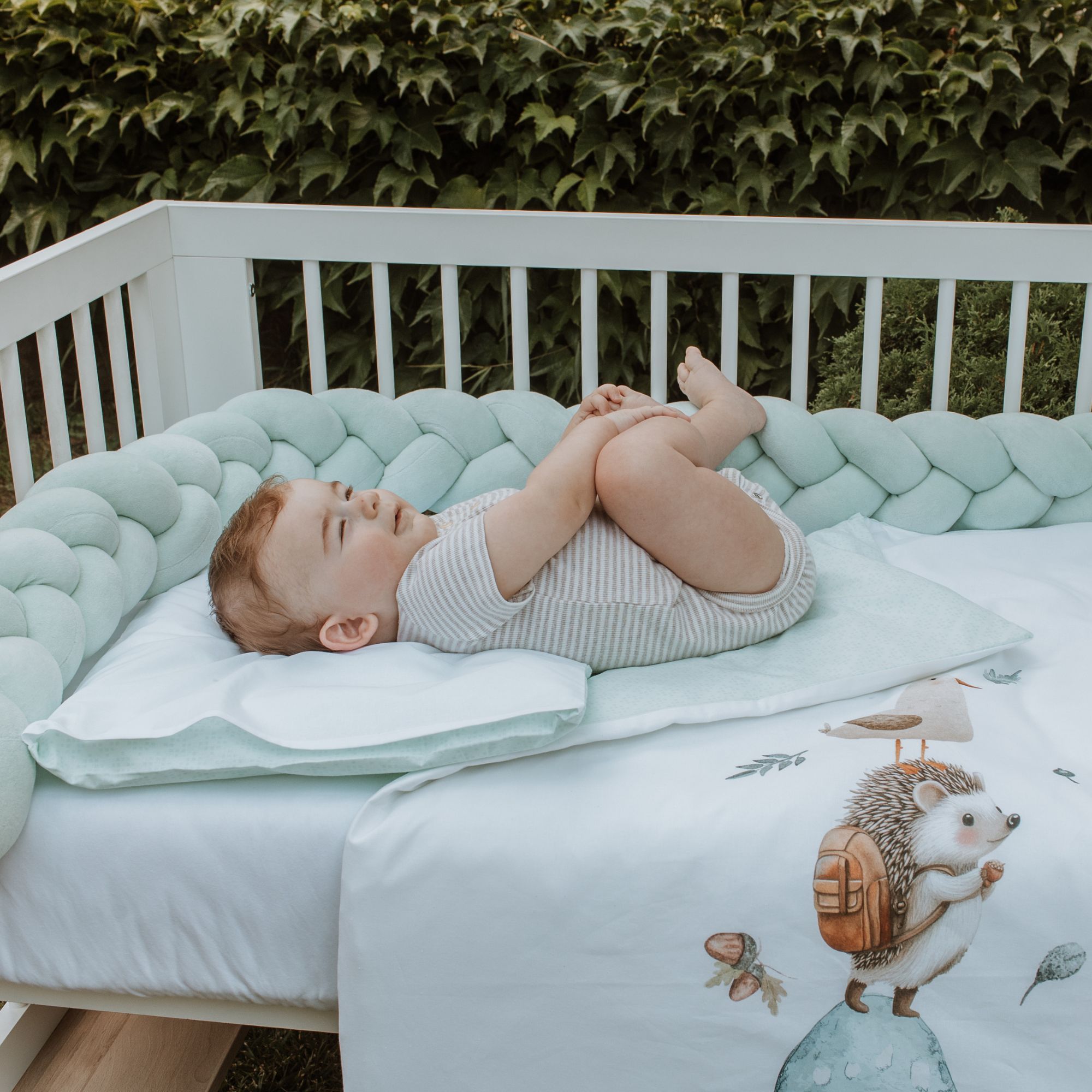 Baby Hedgehog Set