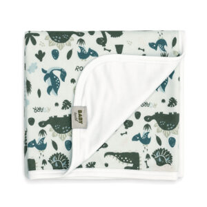 Interlock blanket Dino crew